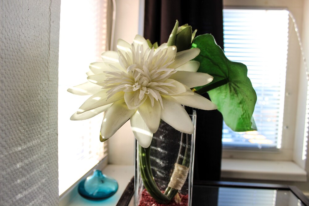 Foto - Euroway Hotel