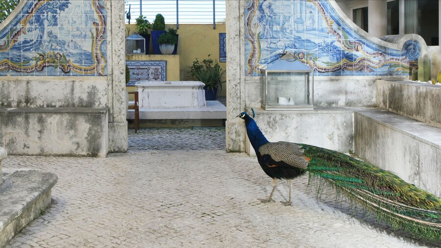 Solar Do Castelo, a Lisbon Heritage Collection