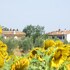 Locanda le Boscarecce in Castelfiorentino, Italy