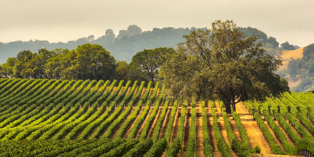 Hyatt Regency Sonoma Wine Country