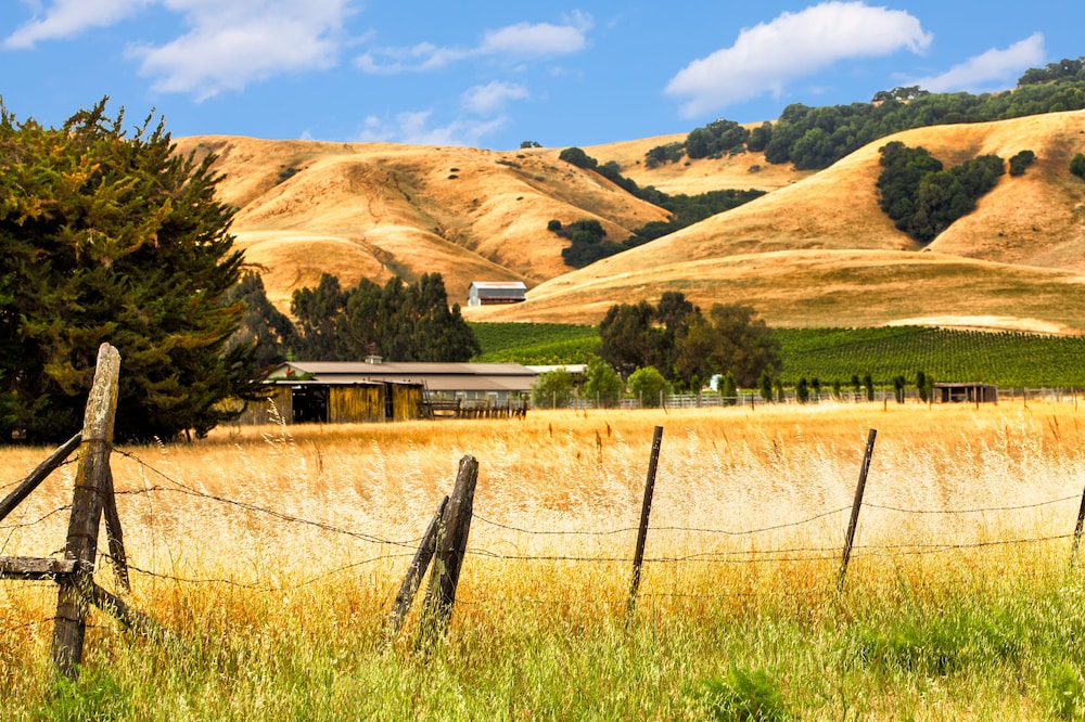 Hyatt Regency Sonoma Wine Country