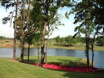 Best Western Mckinney Tx Check Room Availability Best Western Mckinney Tx Check Room Availability