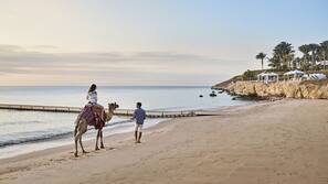 On the beach, white sand, free beach shuttle, free beach cabanas