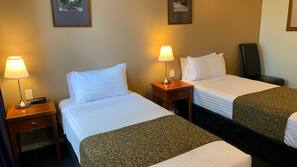 Minibar, iron/ironing board, WiFi