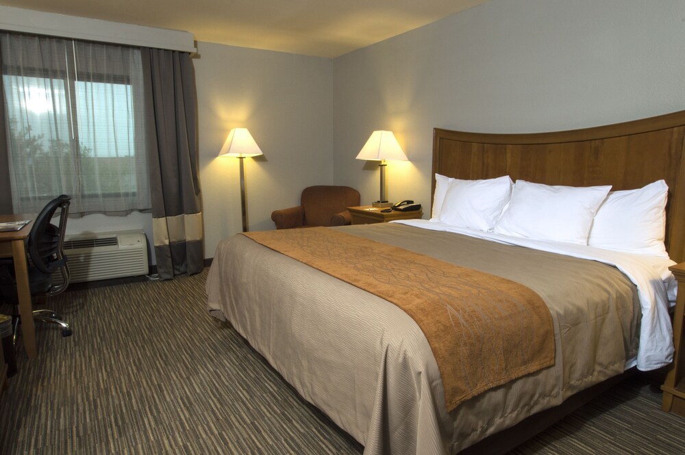 Comfort Inn South - Springfield