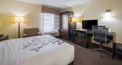Sleep Inn Statesville I-40