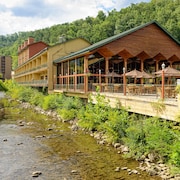 10 Best Waterpark Hotels In Gatlinburg Pigeon Forge For 2020