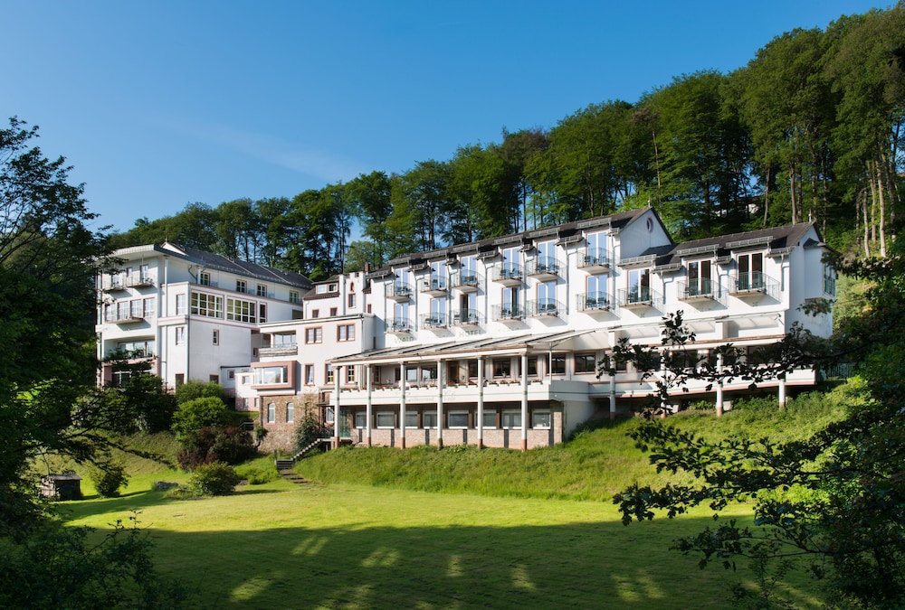 Primary image, AKZENT Waldhotel Rheingau