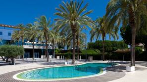Seasonal outdoor pool, pool umbrellas, pool loungers