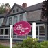 Andrie Rose Inn in Ludlow, United States