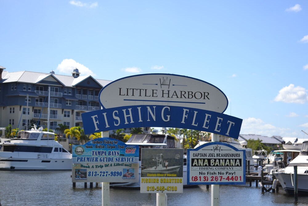 The Resort & Club at Little Harbor, Tampa Room Prices & Reviews Travelocity