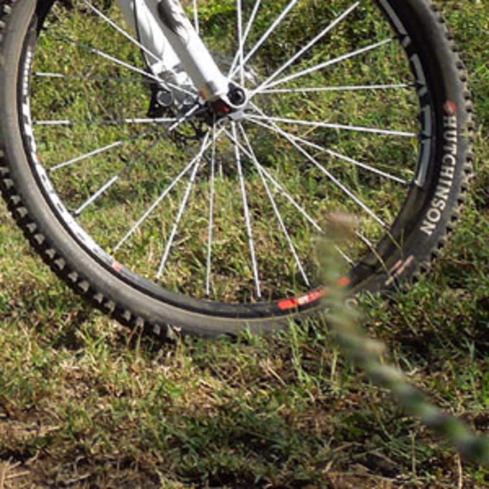 Cradle Mountain Wilderness Village: Deals & Reviews (Cradle Mountain