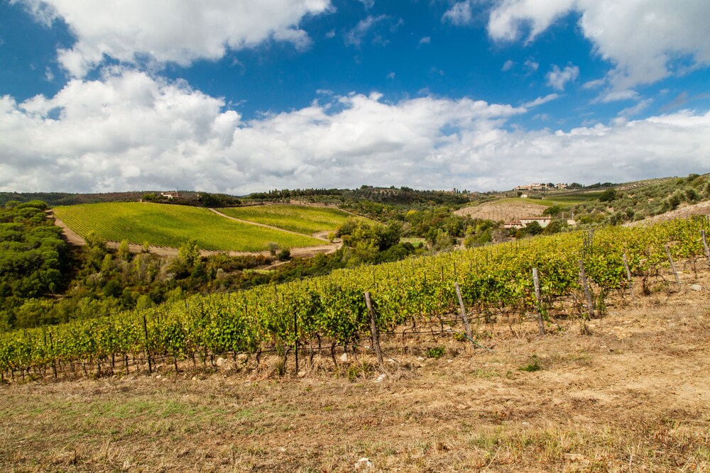 Photo - Hotel Tenuta di Artimino Meliá Collection
