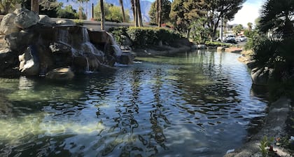 Desert Princess Country Club