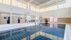 Indoor pool, sun loungers