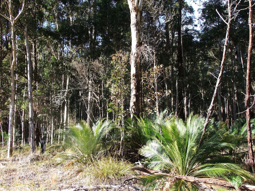 The Bower at Broulee