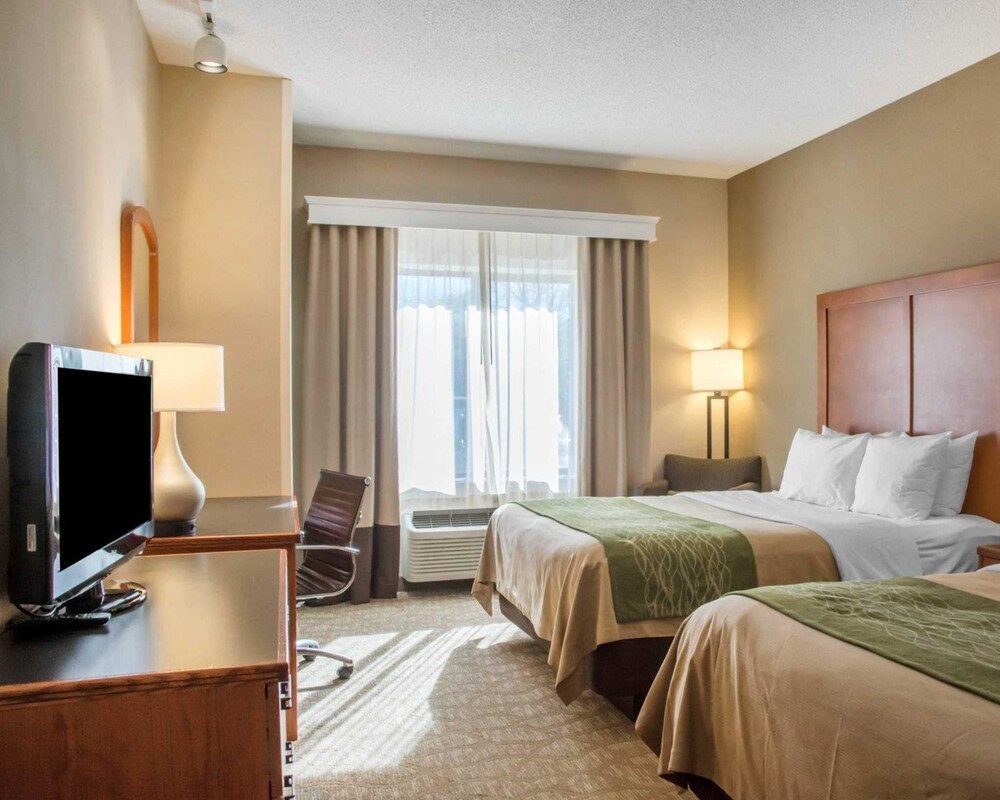 Room, Comfort Inn & Suites West Chester - North Cincinnati