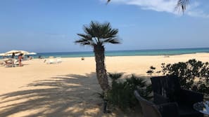 Plage privée, sable blanc, chaises longues, parasols