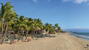 On the beach, sun loungers, beach towels, windsurfing