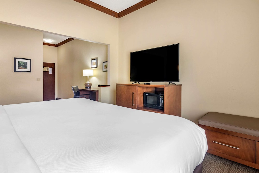 Comfort Inn & Suites Statesboro - University Area