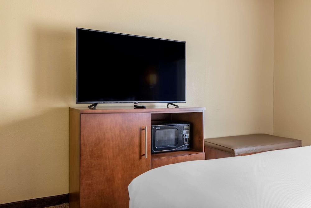 Room, Comfort Inn & Suites Statesboro - University Area