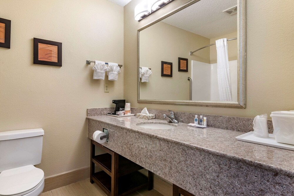 Comfort Inn & Suites Statesboro - University Area