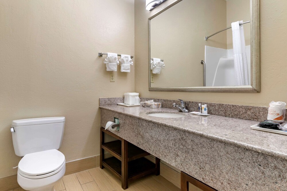 Room, Comfort Inn & Suites Statesboro - University Area