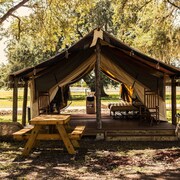The 10 Best Hotels In Frostproof Lakeland Winter Haven For 2019 Westgate River Ranch Resort Rodeo
