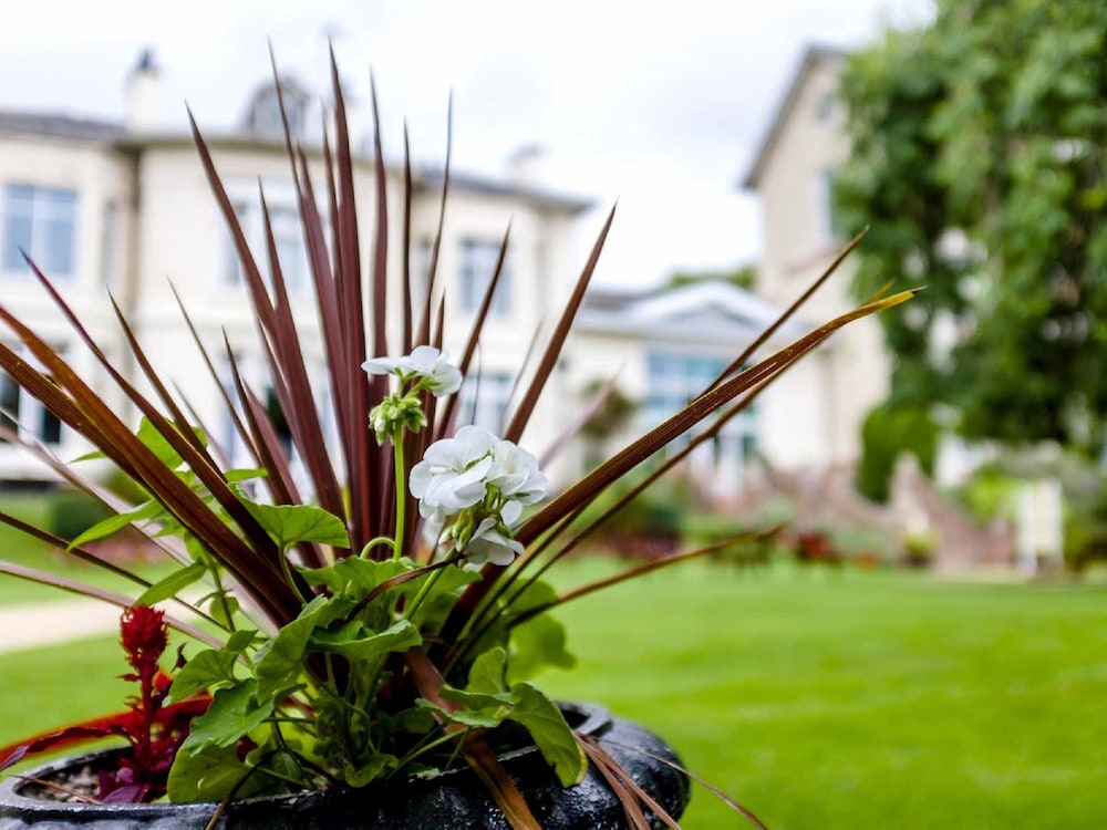 Photo - The Devonshire House Hotel