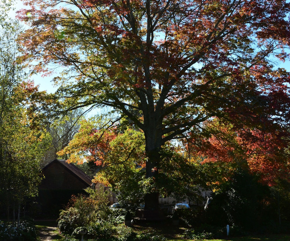 Peppers Manor House