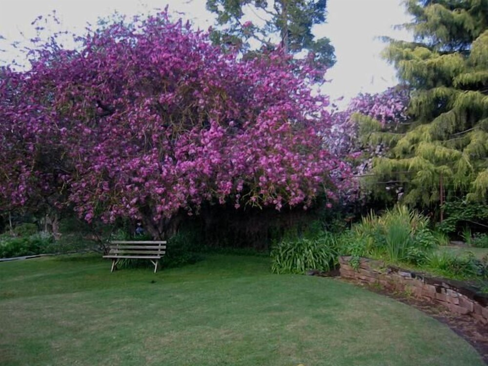 The Lodge Country House