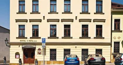 Hotel U Páva