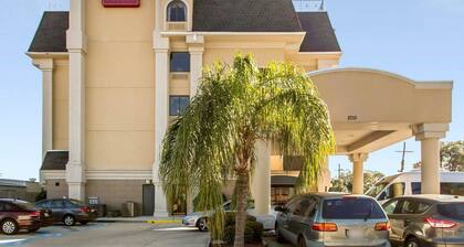 Comfort Suites Airport