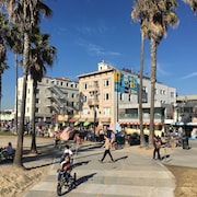 Top 10 Venice Ocean Front Walk Hotels In Los Angeles 196 Venice Beach Suites Hotel