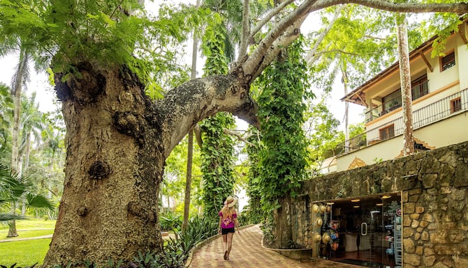 Mayaland Hotel And Bungalows: Precios, promociones y comentarios | Expedia.com