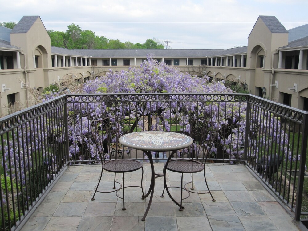 Courtyard, Vineyard Court Designer Suites Hotel