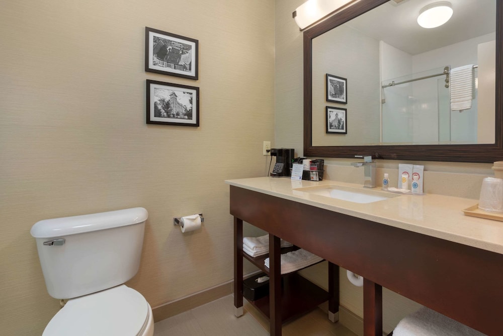 Bathroom, Comfort Inn & Suites Fayetteville - University Area