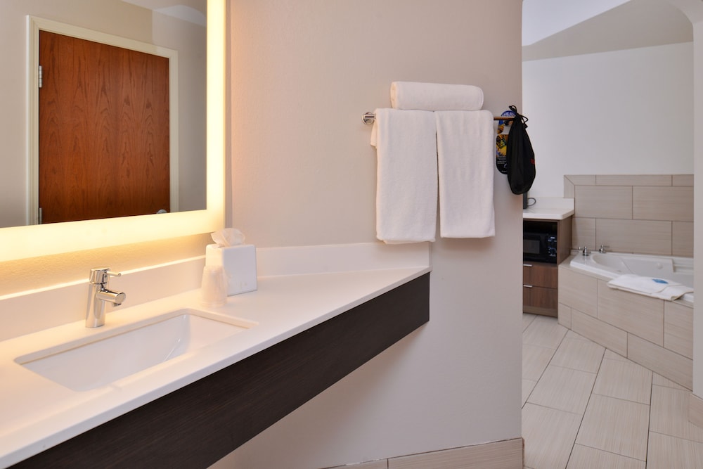 Bathroom, Holiday Inn Express & Suites New Orleans Airport South, an IHG Hotel