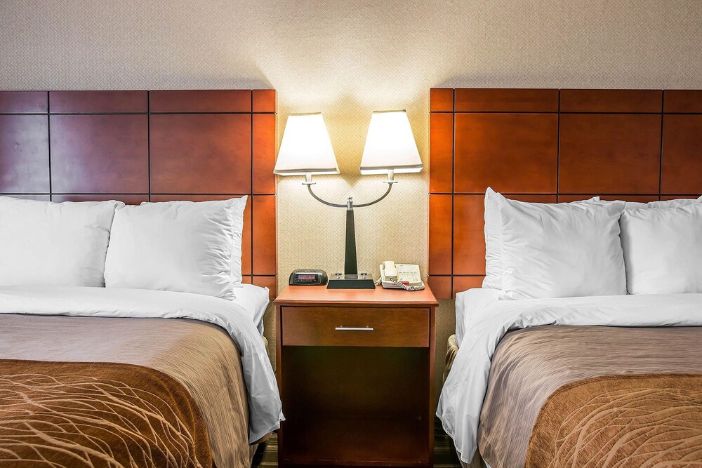 Room, Comfort Inn & Suites University South