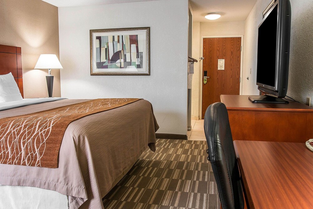 Comfort Inn & Suites University South