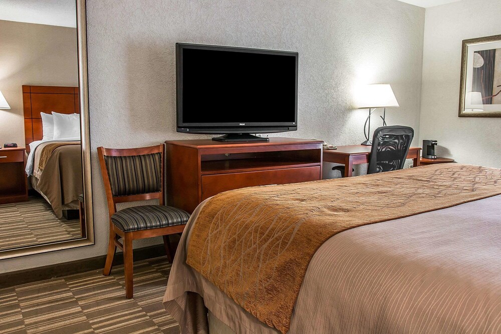 Room, Comfort Inn & Suites University South