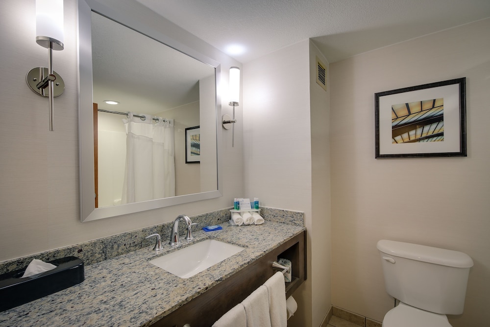 Bathroom, Holiday Inn Express & Suites Sylva - Western Carolina Area, an IHG Hotel