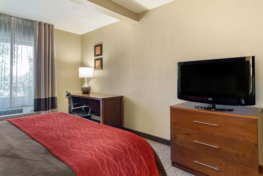 Comfort Inn & Suites Suwanee - Sugarloaf