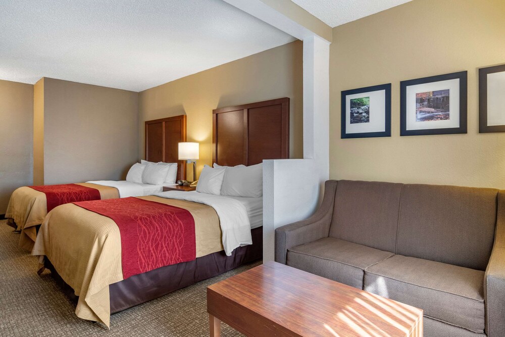 Comfort Inn & Suites Suwanee - Sugarloaf