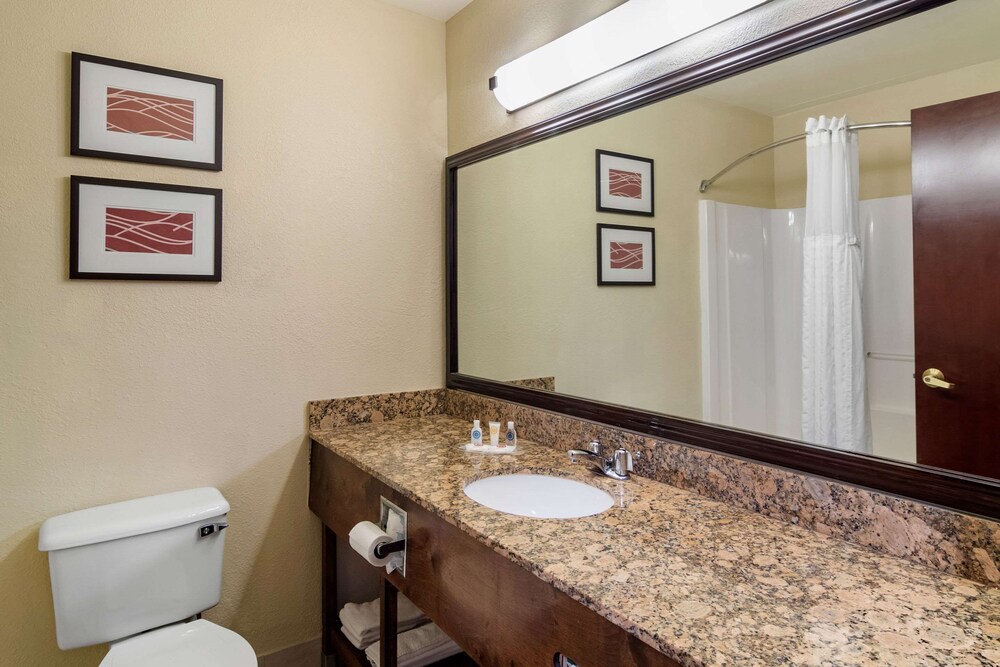 Comfort Inn & Suites Suwanee - Sugarloaf