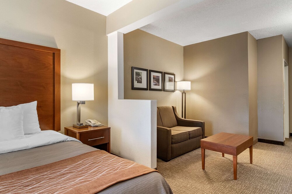 Comfort Inn & Suites Suwanee - Sugarloaf