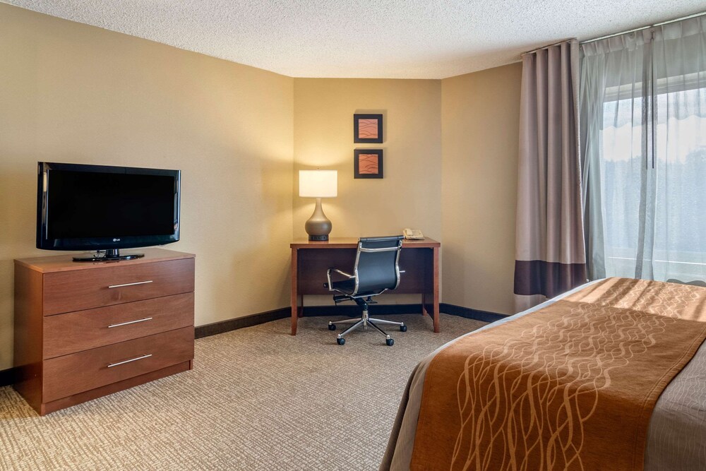 Comfort Inn & Suites Suwanee - Sugarloaf