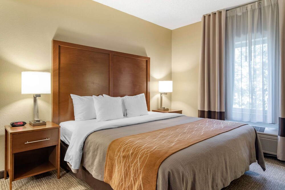 Comfort Inn & Suites Suwanee - Sugarloaf