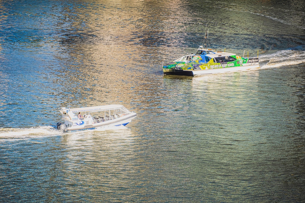 Rowing, View Brisbane