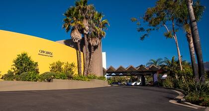 Lemon Tree Inn